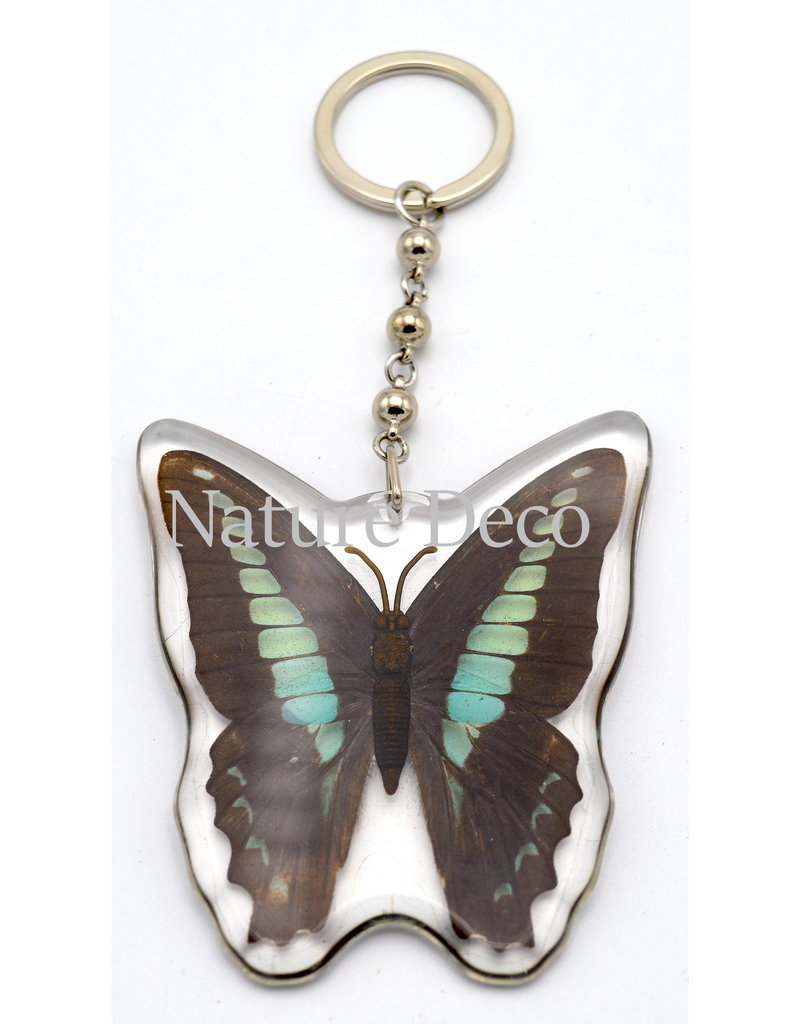 . Butterfly keychain #2 (Graphium Sarpedon)