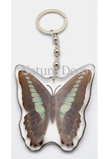 . Butterfly keychain #2 (Graphium Sarpedon)