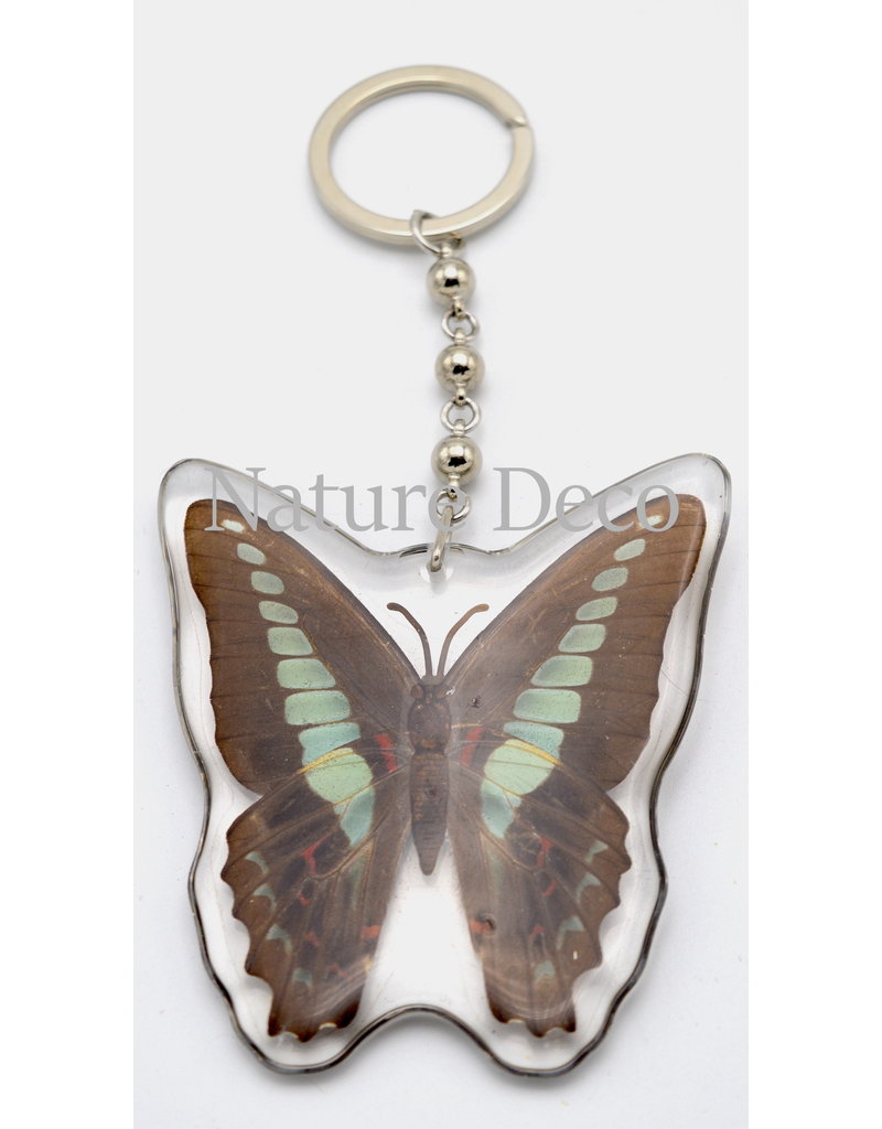 . Butterfly keychain #2 (Graphium Sarpedon)