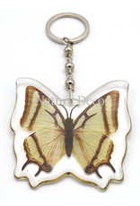 . Butterfly keychain #3 (Polyura Sp.)