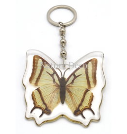 . Butterfly keychain #3