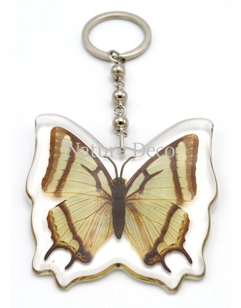 . Vlinder sleutelhanger #3 (Polyura Sp.)