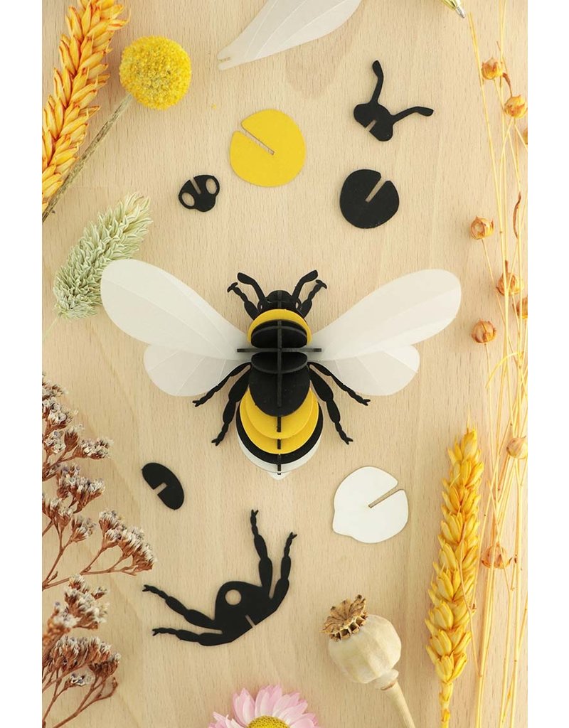 Assembli DIY  Paper 3D  Bumble Bee Assembli