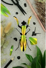Assembli DIY  Paper 3D  praying mantis Assembli