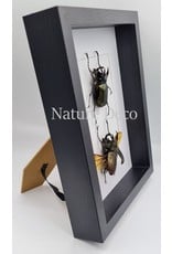 Nature Deco Extra thick luxury 3D frame rectangle 27 x 22 x 4.5cm