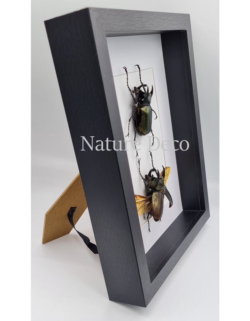 Nature Deco Extra thick luxury 3D frame rectangle 27 x 22 x 4.5cm