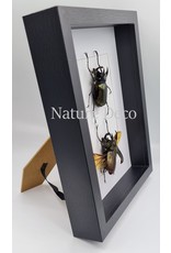 Nature Deco Extra thick luxury 3D frame rectangle 27 x 22 x 4.5cm 8 pieces