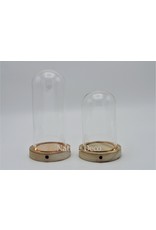 Nature Deco Glass dome blanco wood LED 10x15,5cm OFFER PRICE!