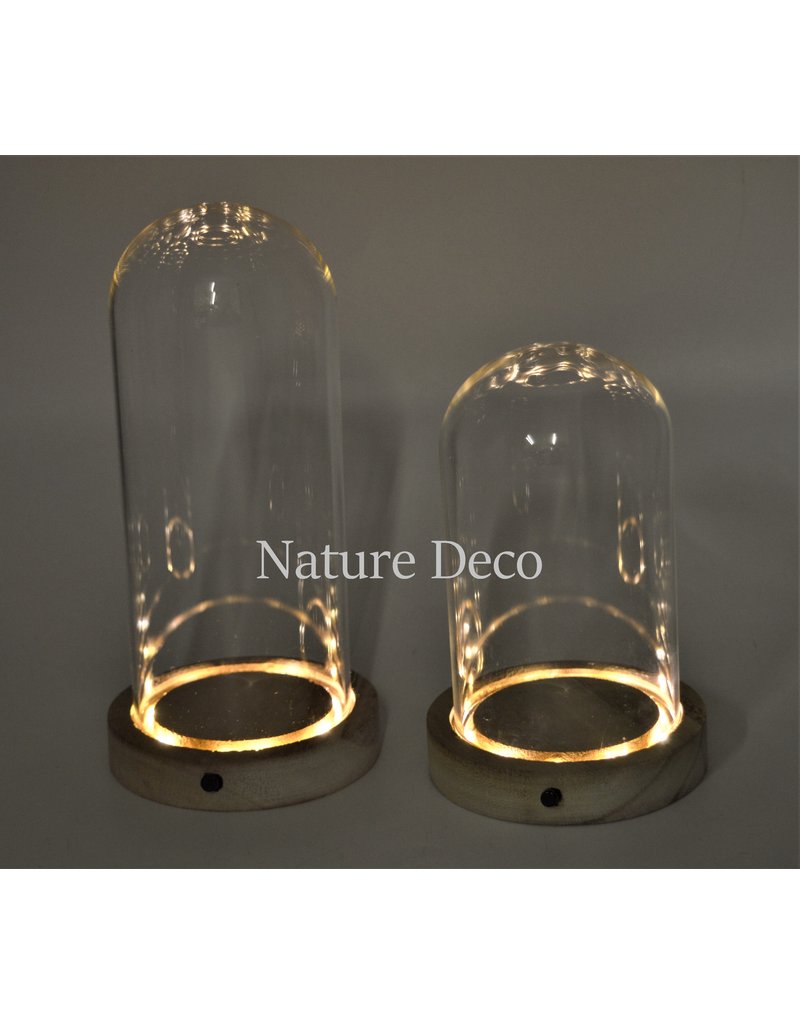 Nature Deco Glass dome blanco wood LED 10x15,5cm OFFER PRICE!