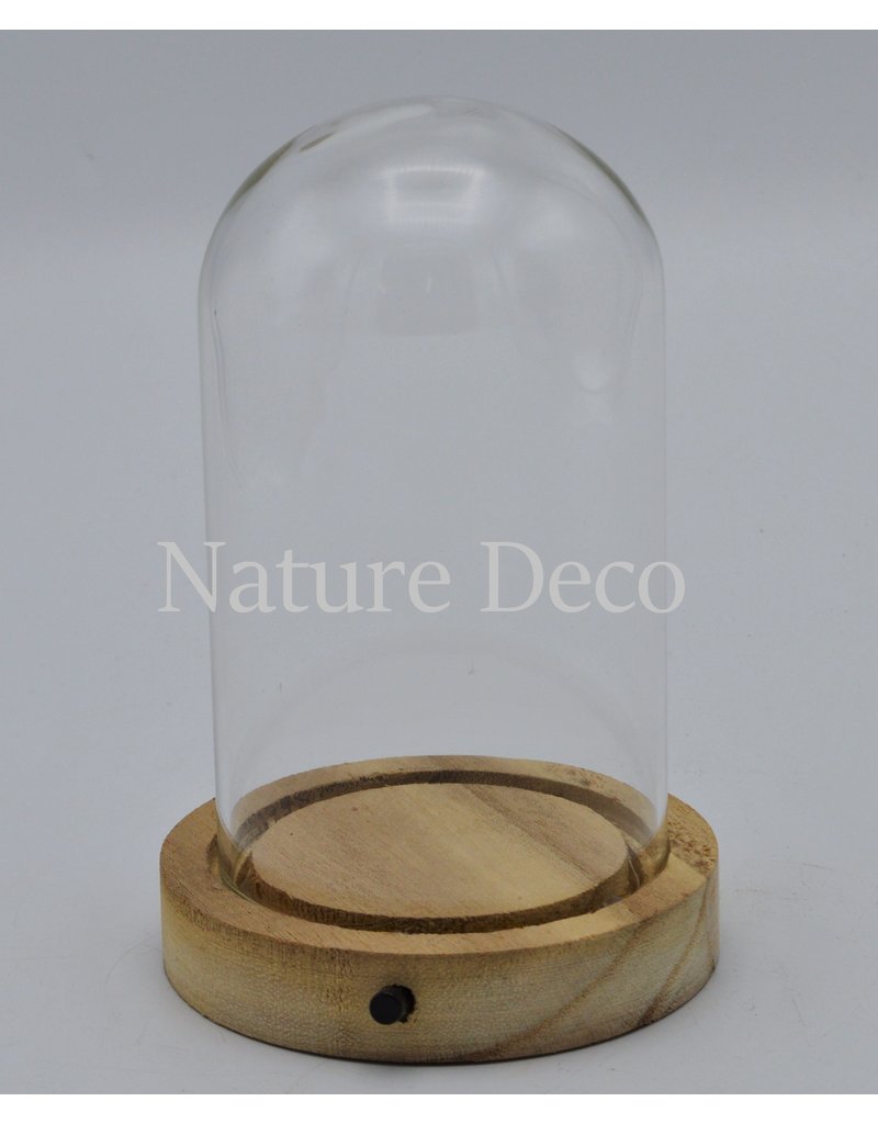 Nature Deco Glass dome blanco wood LED 10x15,5cm OFFER PRICE!