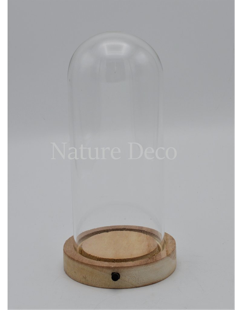 Nature Deco Glass dome blanco wood LED 10x20,5cm OFFER PRICE!