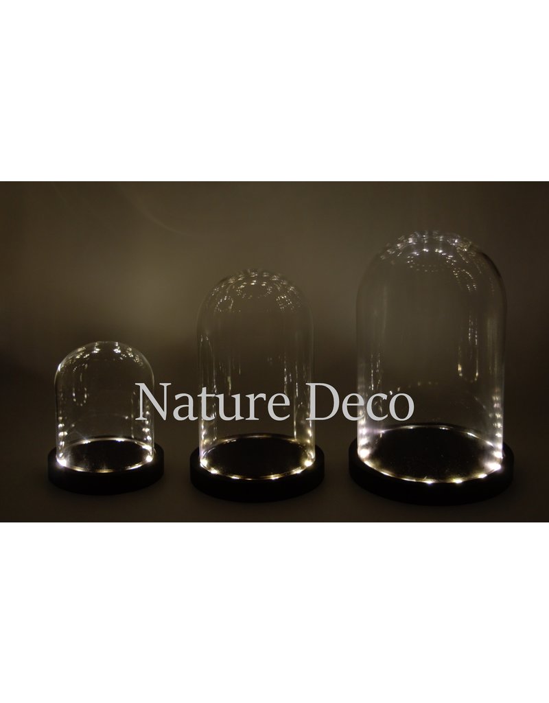 Nature Deco Glass dome black LED 12x13,5cm OFFER PRICE!