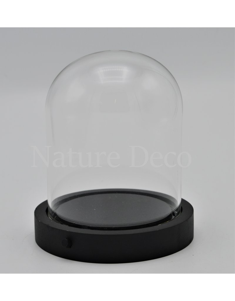 Nature Deco Glass dome black LED 12x13,5cm OFFER PRICE!