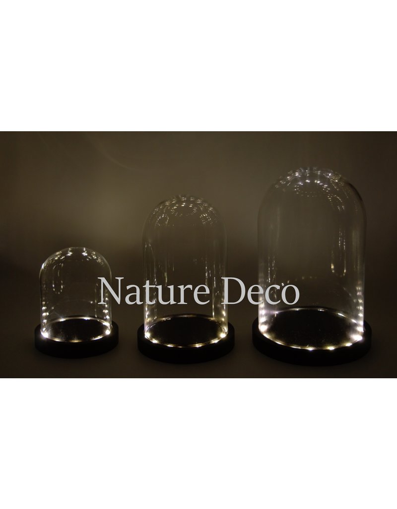 Nature Deco Glass dome black LED 14x21,5cm OFFER PRICE!