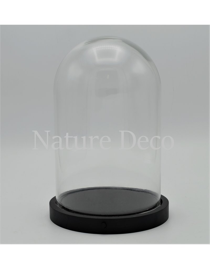 Nature Deco Glass dome black LED 14x21,5cm OFFER PRICE!