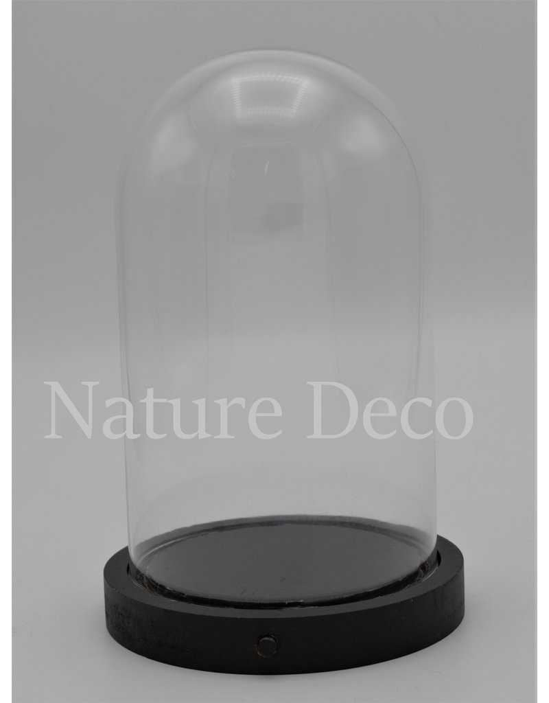 Nature Deco Glass dome black LED 17x25,5cm OFFER PRICE!