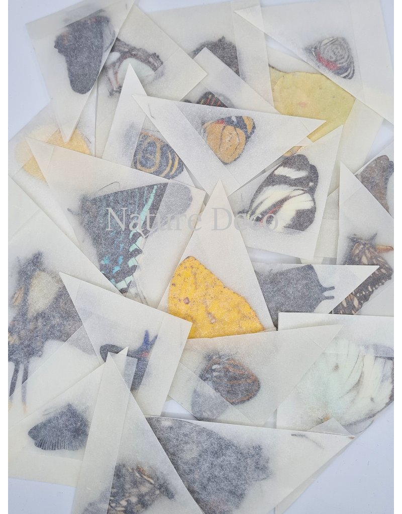 . Unmounted / dried  Peru mix 10 pieces