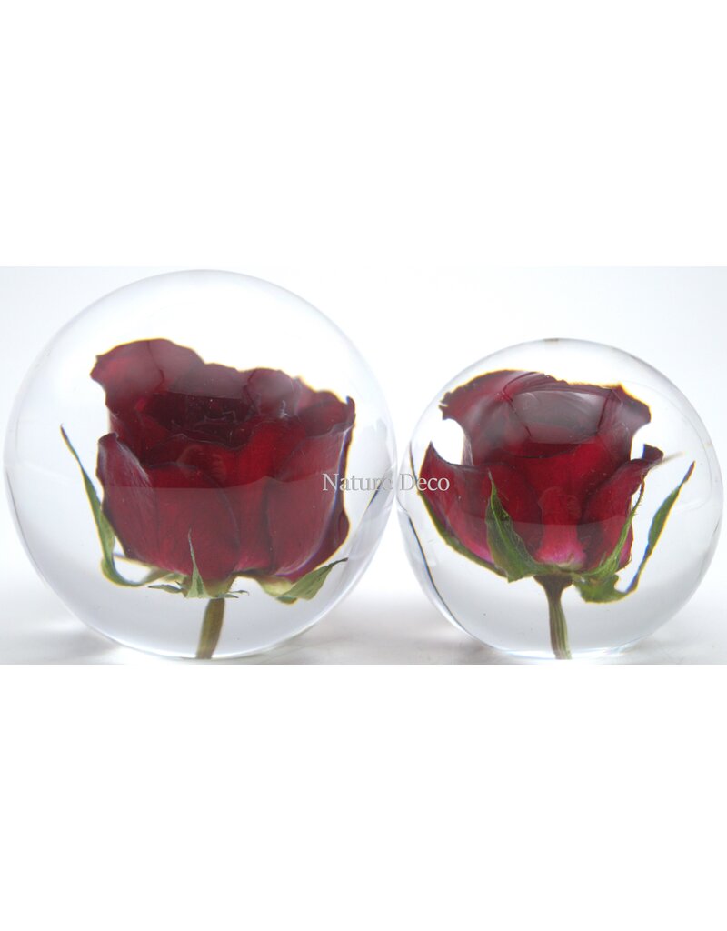 . Rose in resin "sphere" large