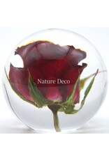 . Rose in resin "sphere" medium