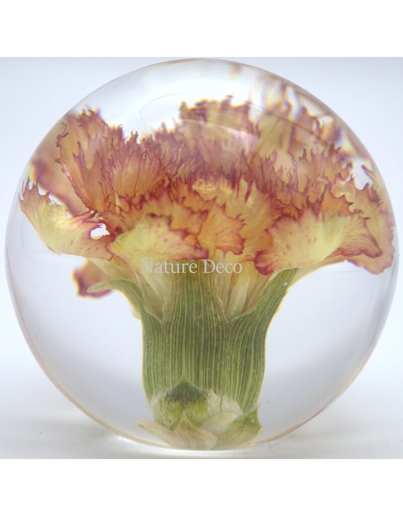 . Carnation orange in resin "sphere"