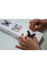 Nature Deco Starter set butterfly mounting DELUXE