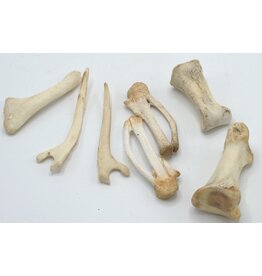 . Lot Struisvogel botten