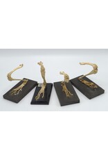 . Antique Rabbit Paw skeleton Gerka