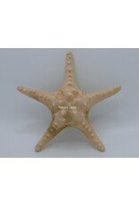 . Starfish luxury xxl