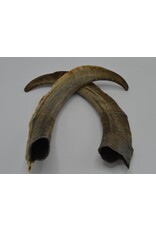 Nature Deco Horns set 3