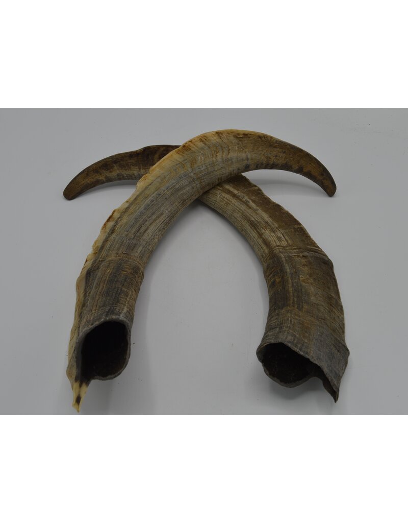 Nature Deco Horns set 3