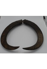 Nature Deco Horns set 2
