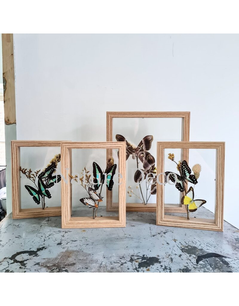 . Double glass frame  dried flowers, 27x22cm, "yellow"