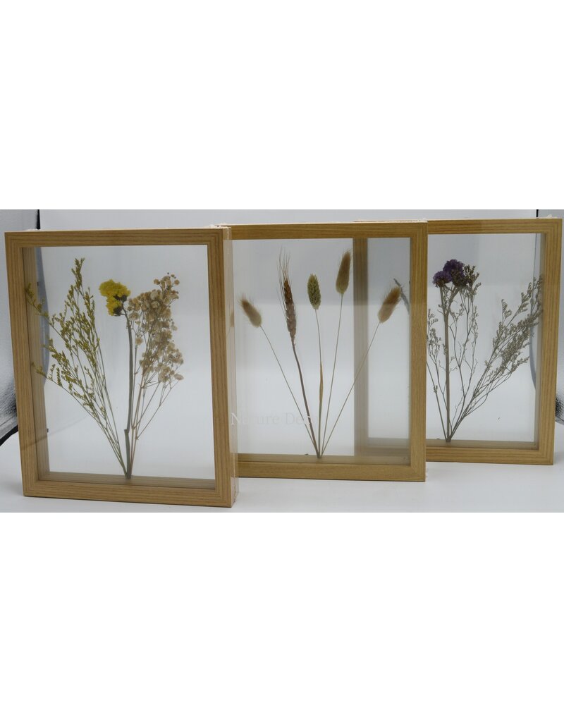 . Double glass frame  dried flowers, 27x22cm, "yellow"