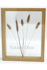 . Double glass frame  dried flowers, 27x22cm, "natural"