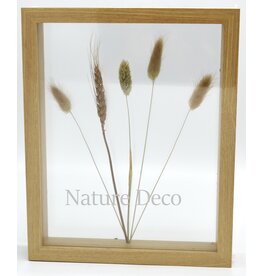 . Double glass frame dried flowers, 27x22cm, "natural"