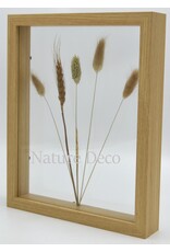 . Double glass frame  dried flowers, 27x22cm, "natural"