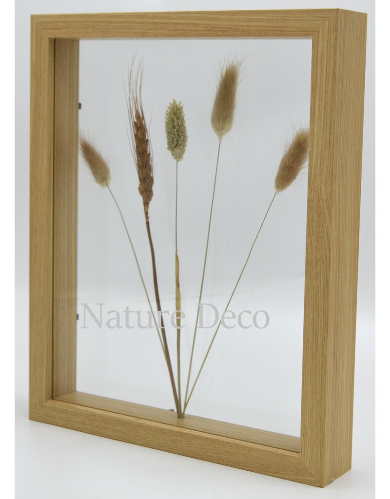 . Double glass frame  dried flowers, 27x22cm, "natural"