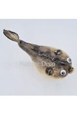 Nature Deco Ballon vis (puffer fish)