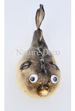 Nature Deco Ballon vis (puffer fish)