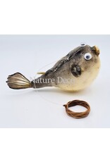 Nature Deco Ballon vis (puffer fish)