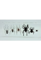 . Six spiders in resin xl collection