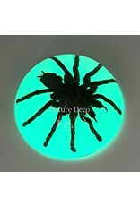 . Tarantula in resin dome "glow in the dark"