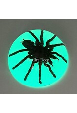 . Vogelspin in hars dome "glow in the dark"