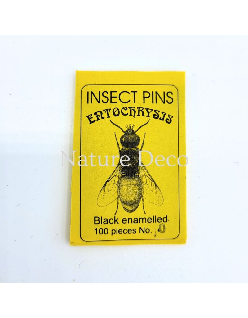 . Insectenspelden black pins maat 0