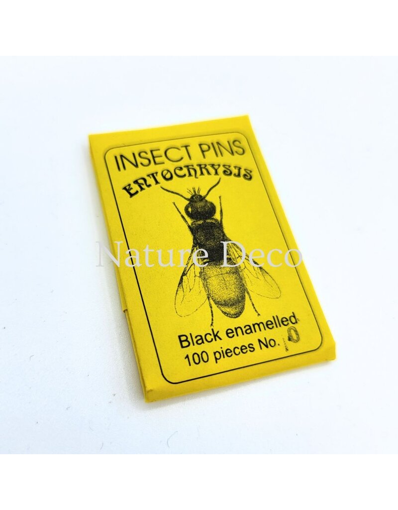 . Insectenspelden black pins maat 0