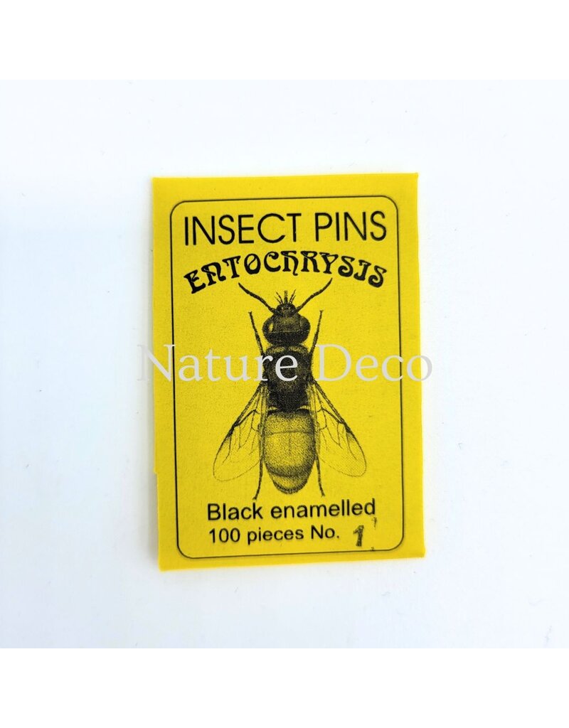 . Insectenspelden black pins maat 1