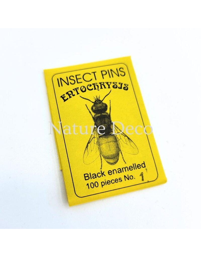 . Insectenspelden black pins maat 1