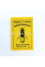 . Insect pins black pins size 2