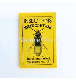 . Insectenspelden black pins maat 2