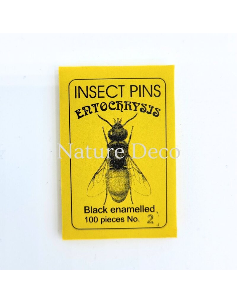 . Insectenspelden black pins maat 2